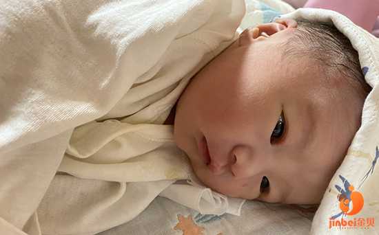 福贡县46岁第三代试管怎么做_武汉同济生殖医学专科医院试管婴儿的成功率是多